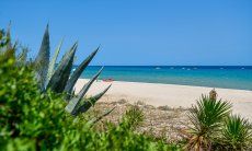 Strand direkt vor dem Haus